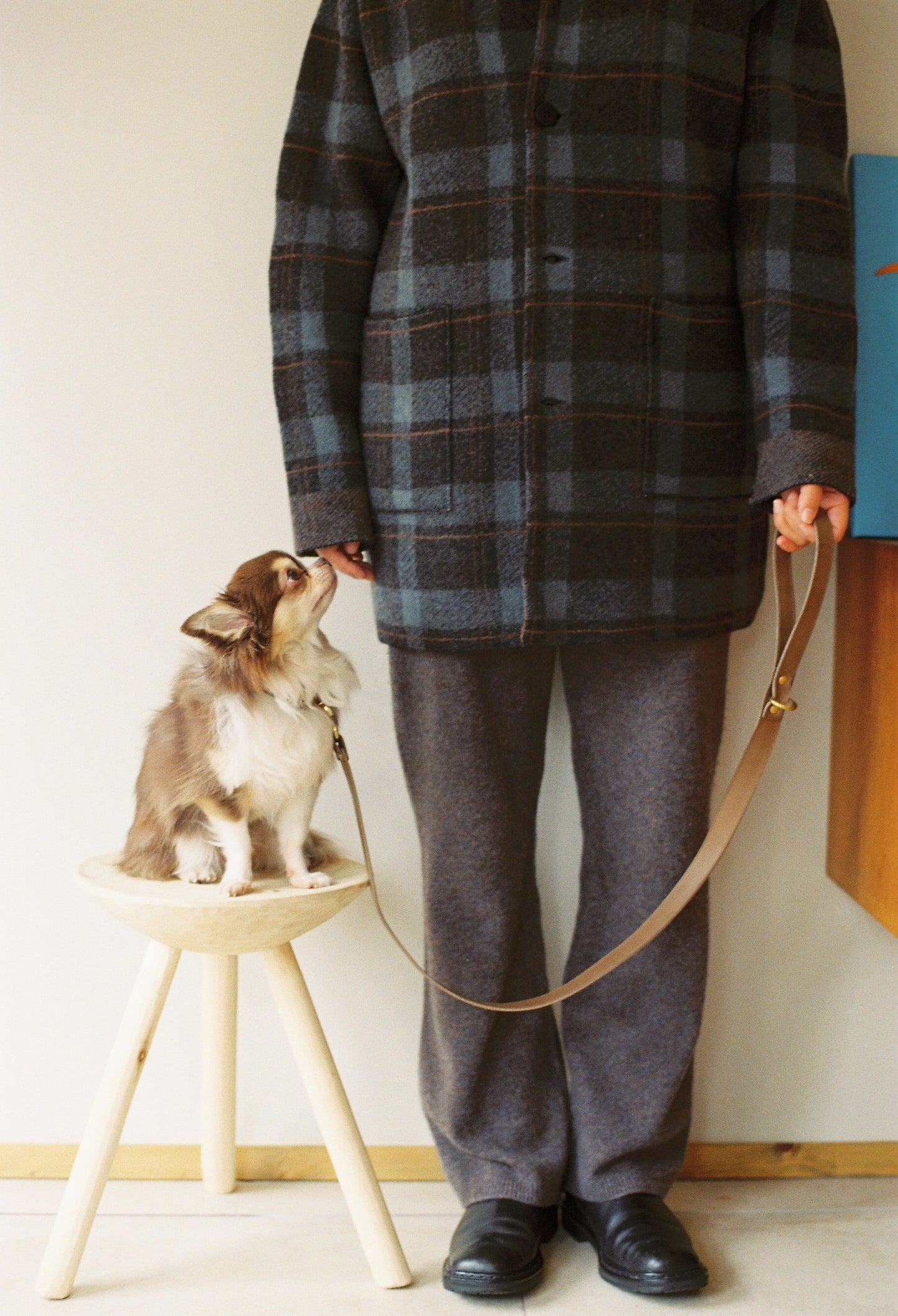 warm hugs collections / リードと首輪