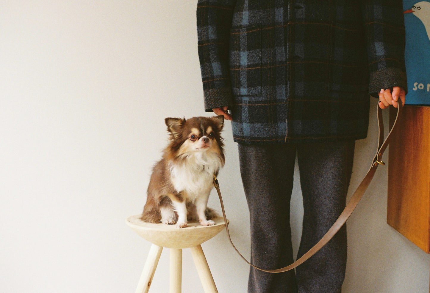 warm hugs collections / リードと首輪