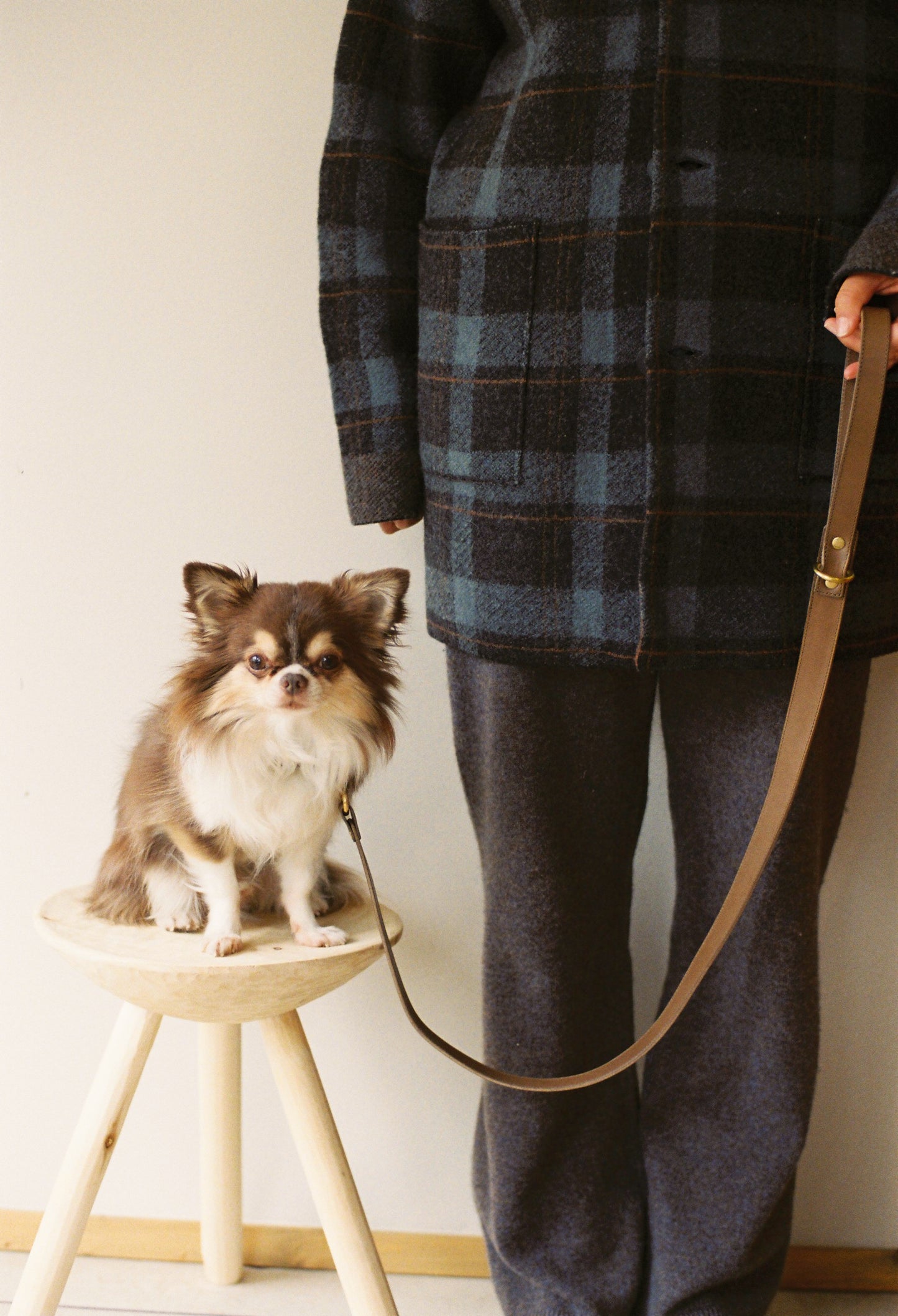 warm hugs collections / リードと首輪