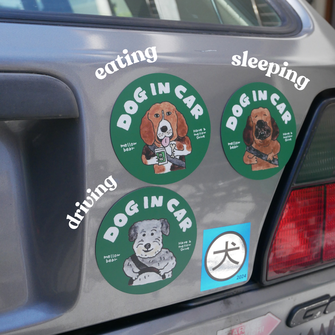 DOG IN CAR magnet　