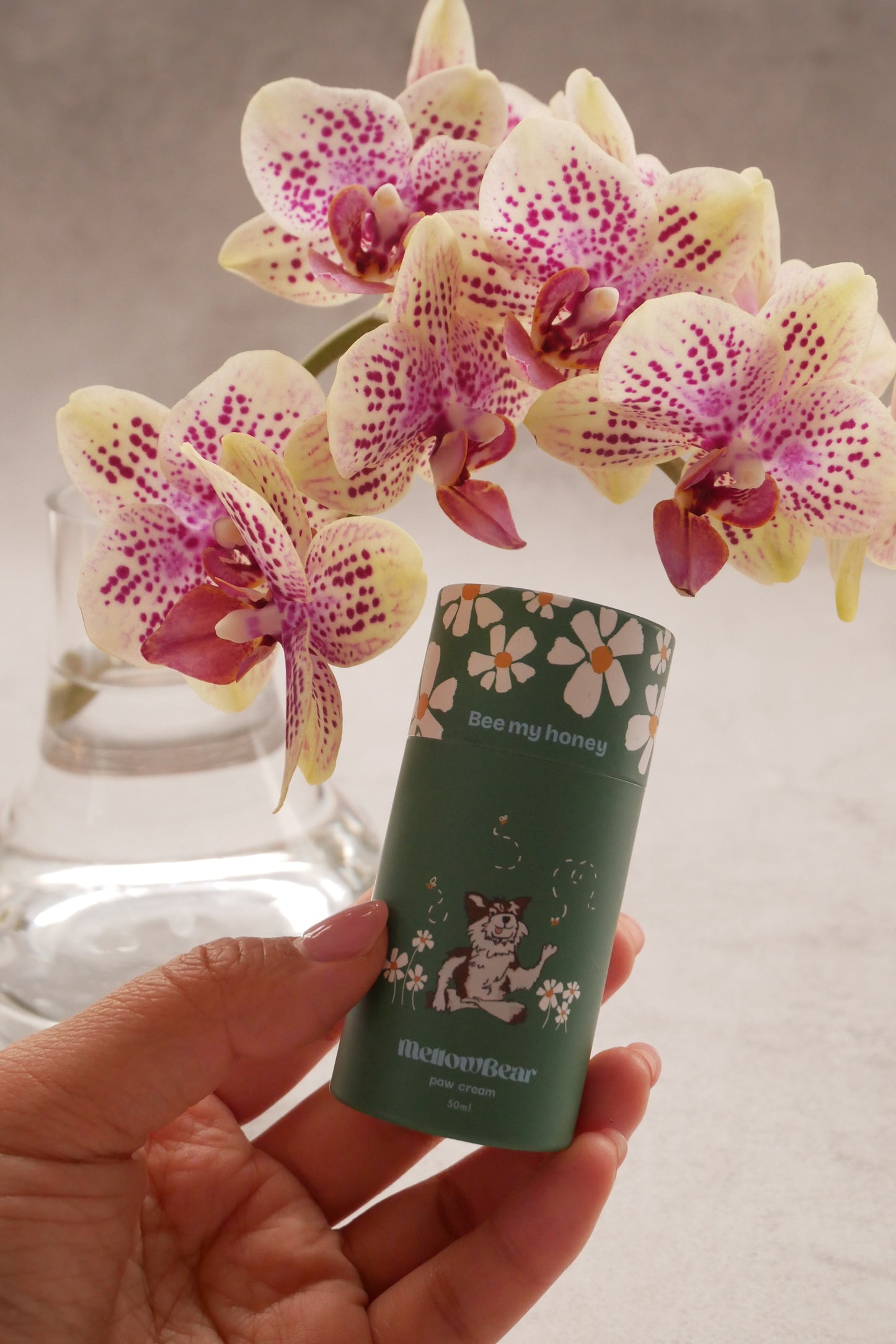 肉球保護バーム 《 Bee my honey 》