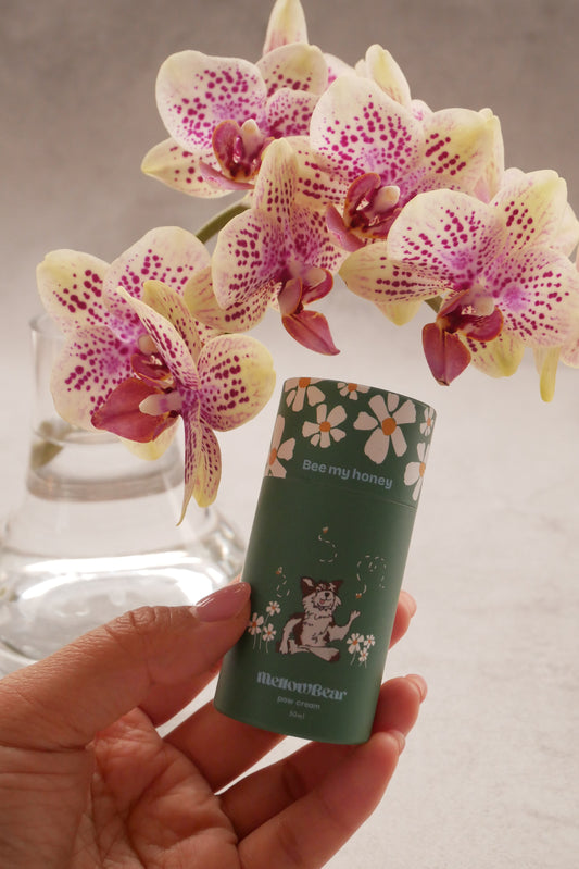 肉球保護バーム 《 Bee my honey 》