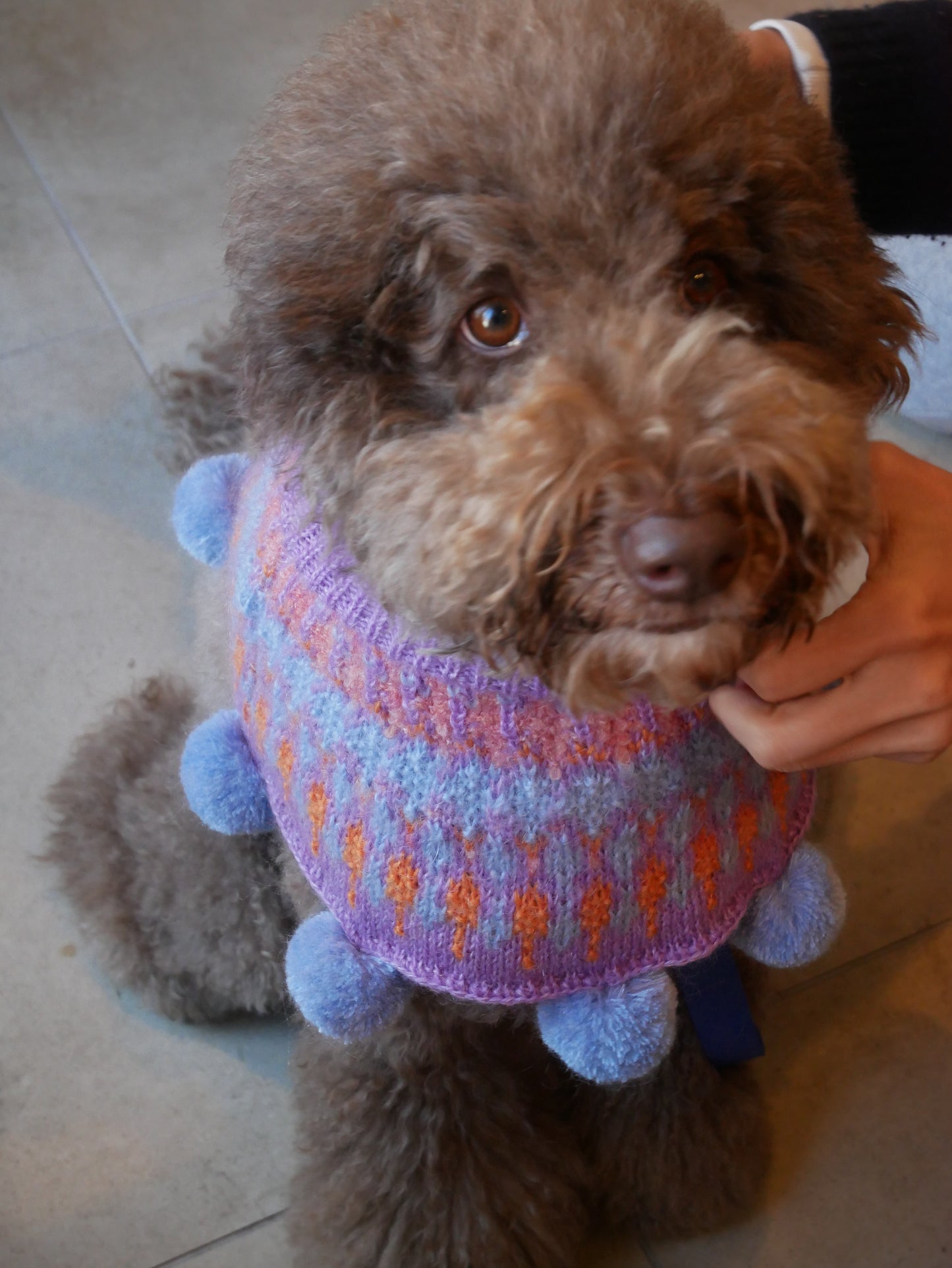 I think I look goood ぽんちょ　　