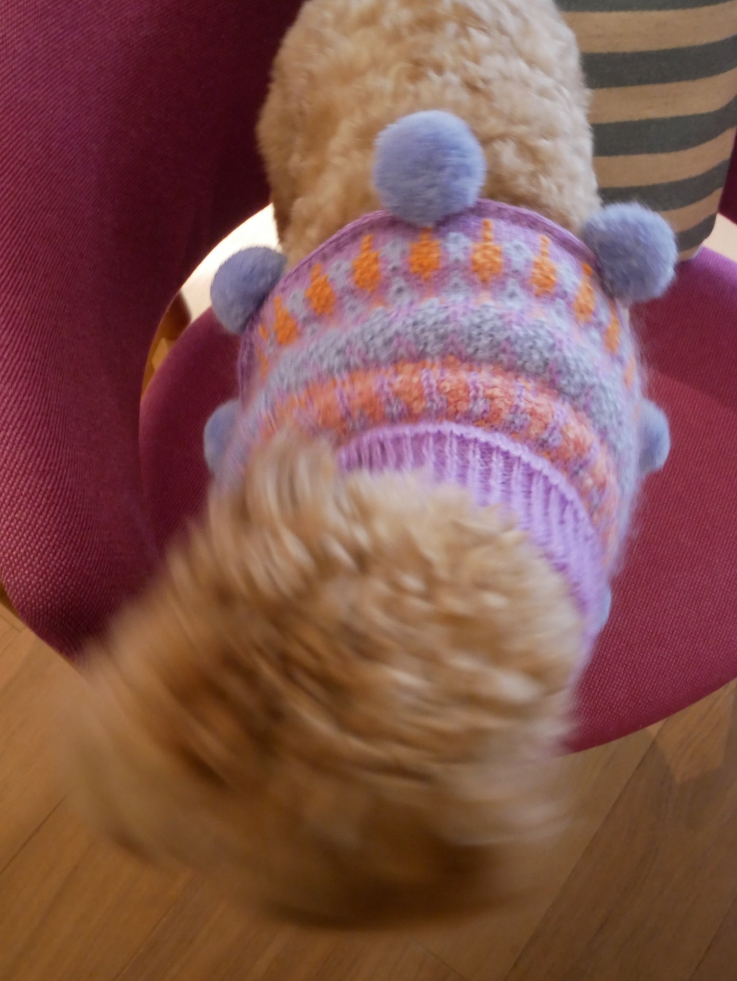 I think I look goood ぽんちょ　　