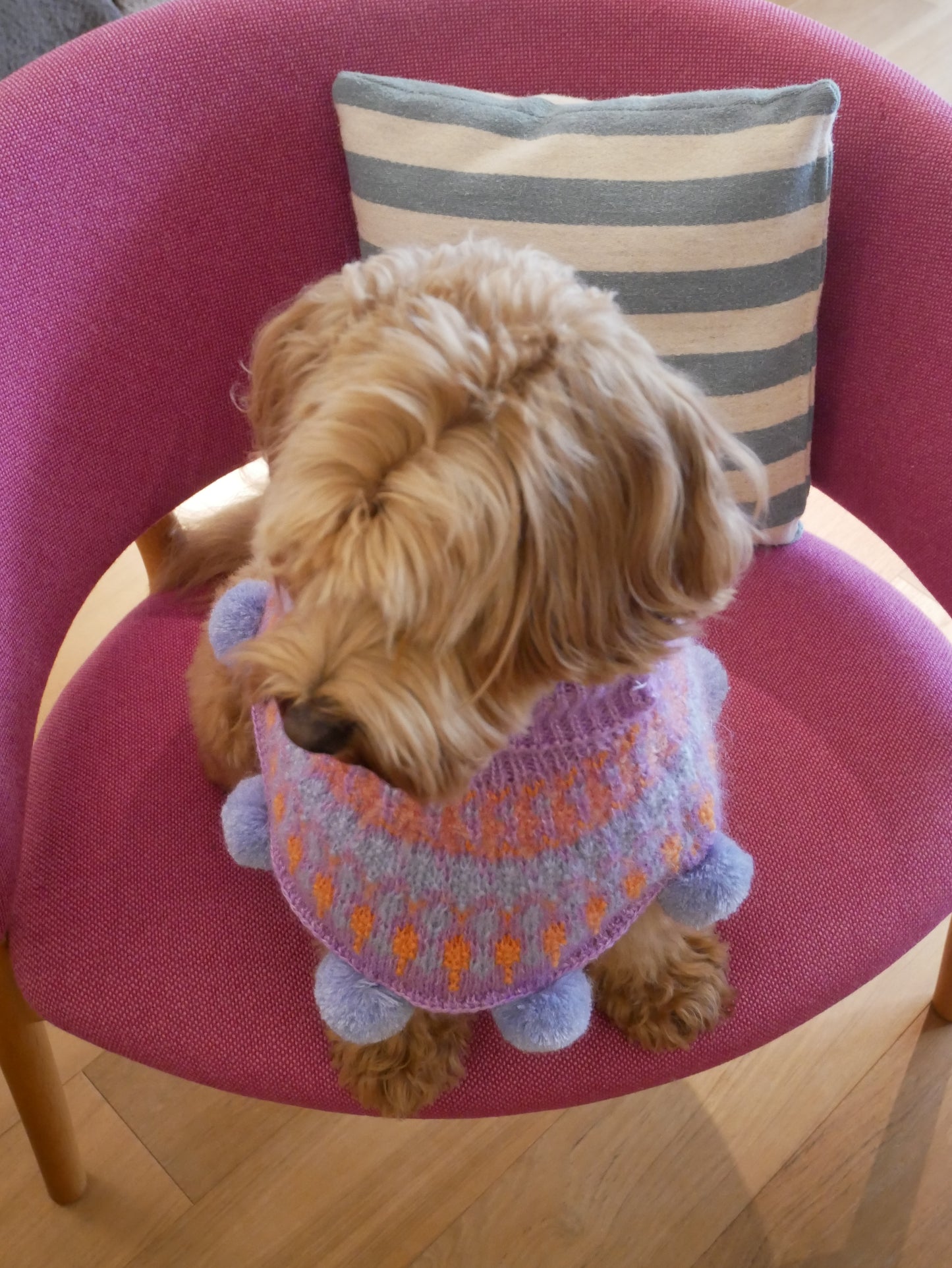 I think I look goood ぽんちょ　　