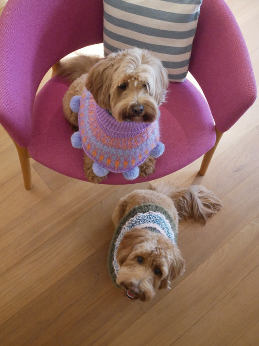 I think I look goood ぽんちょ　　