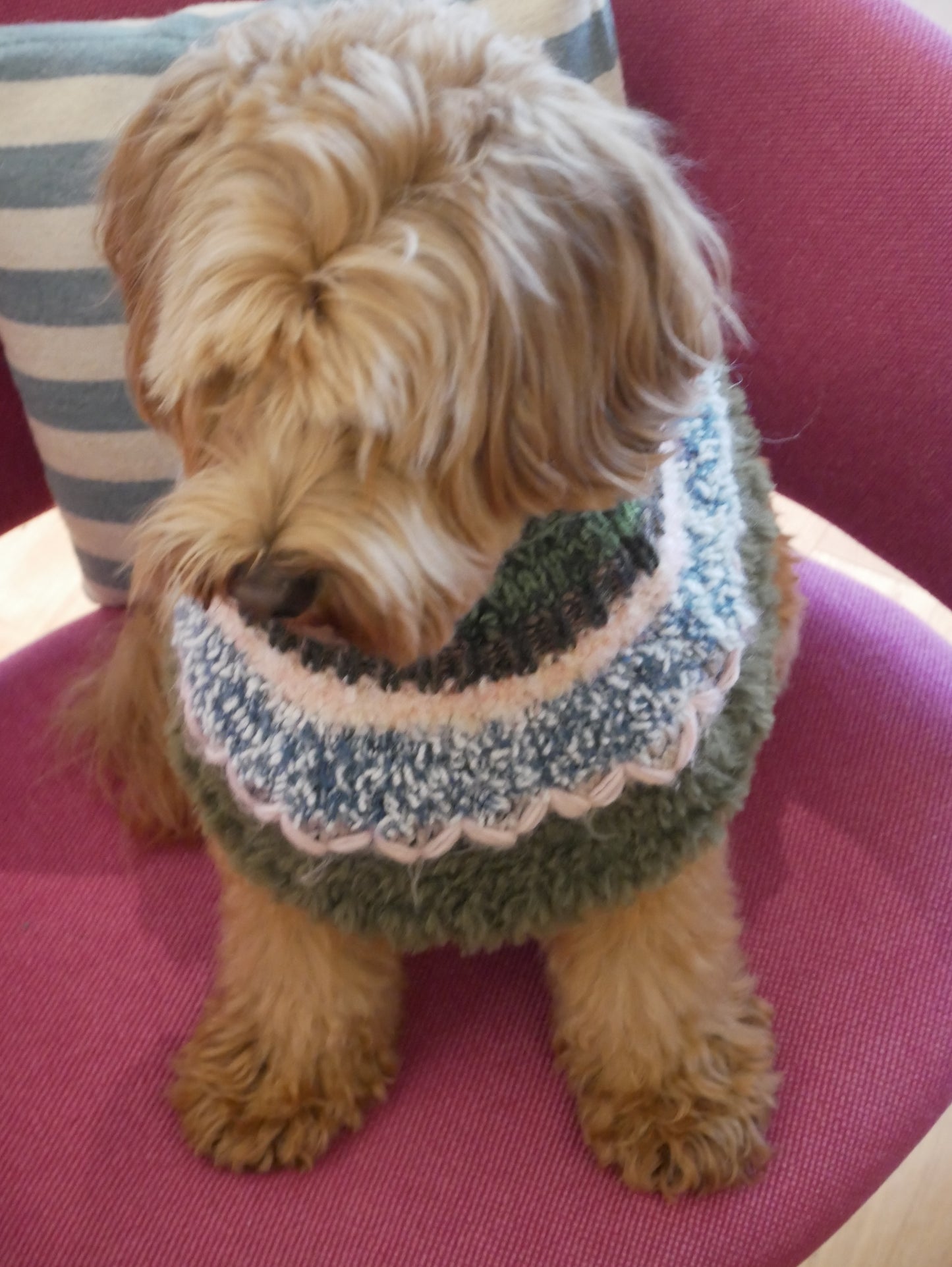 I think I look goood ぽんちょ　　