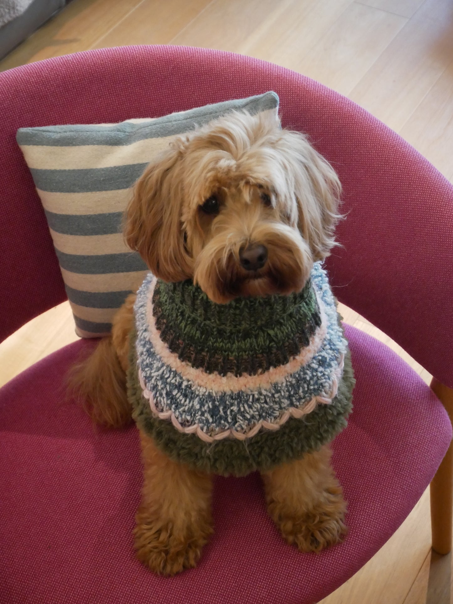 I think I look goood ぽんちょ　　