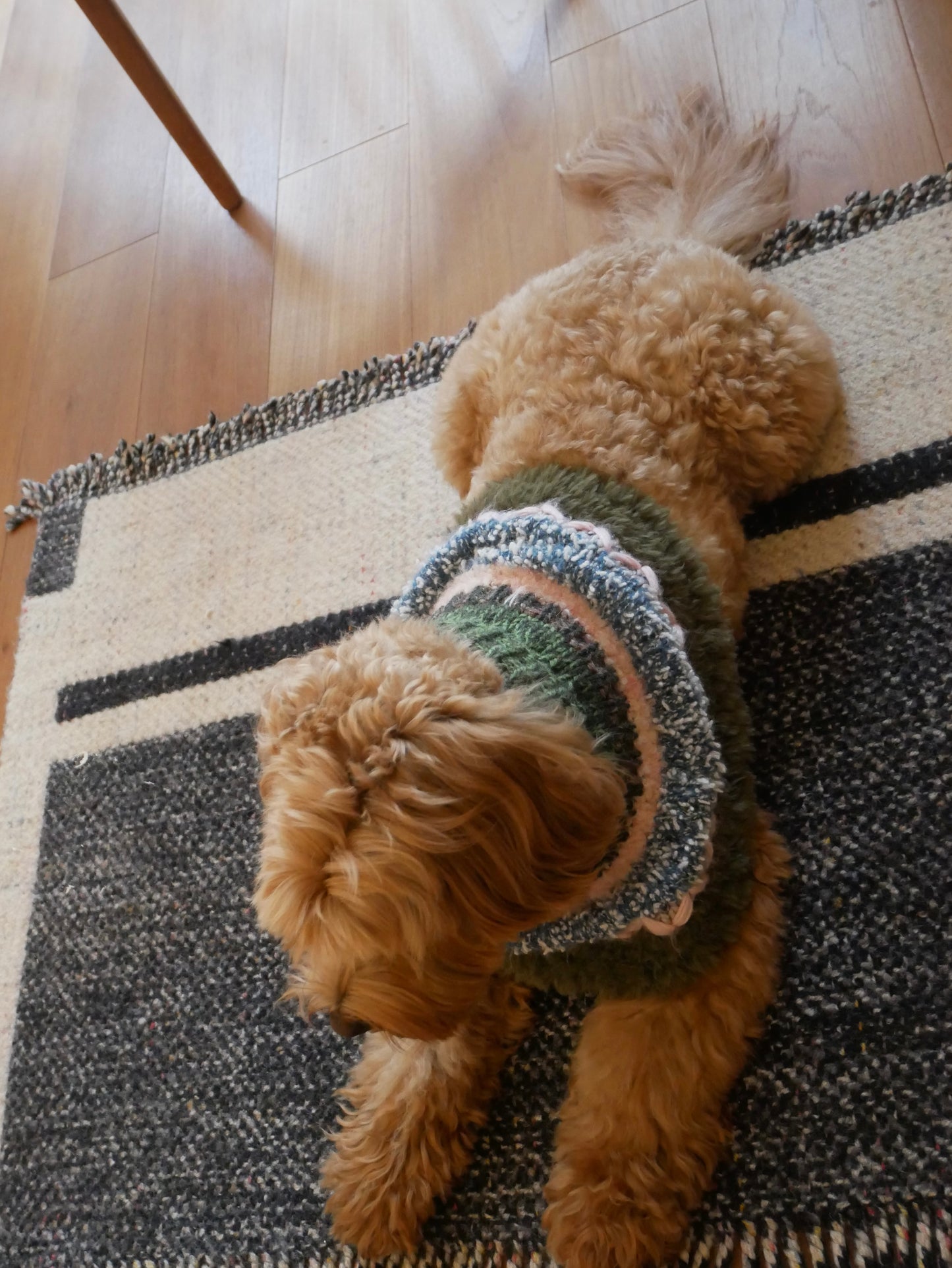 I think I look goood ぽんちょ　　