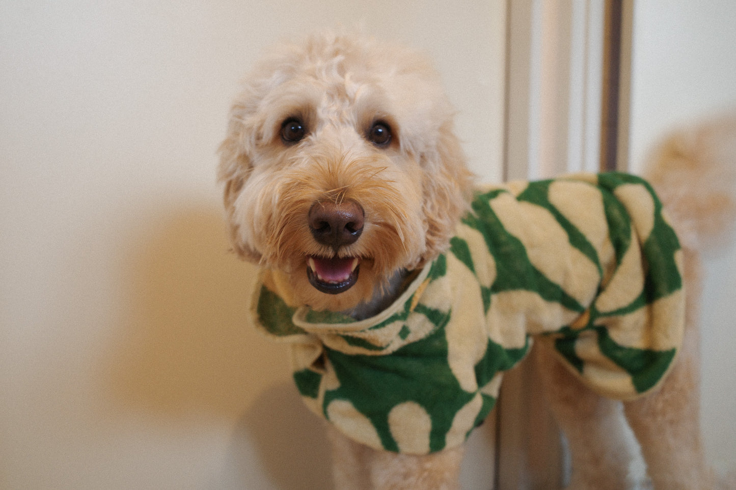 《オーガニックコットン》Dog Robe & Beach Towel  - Flower -