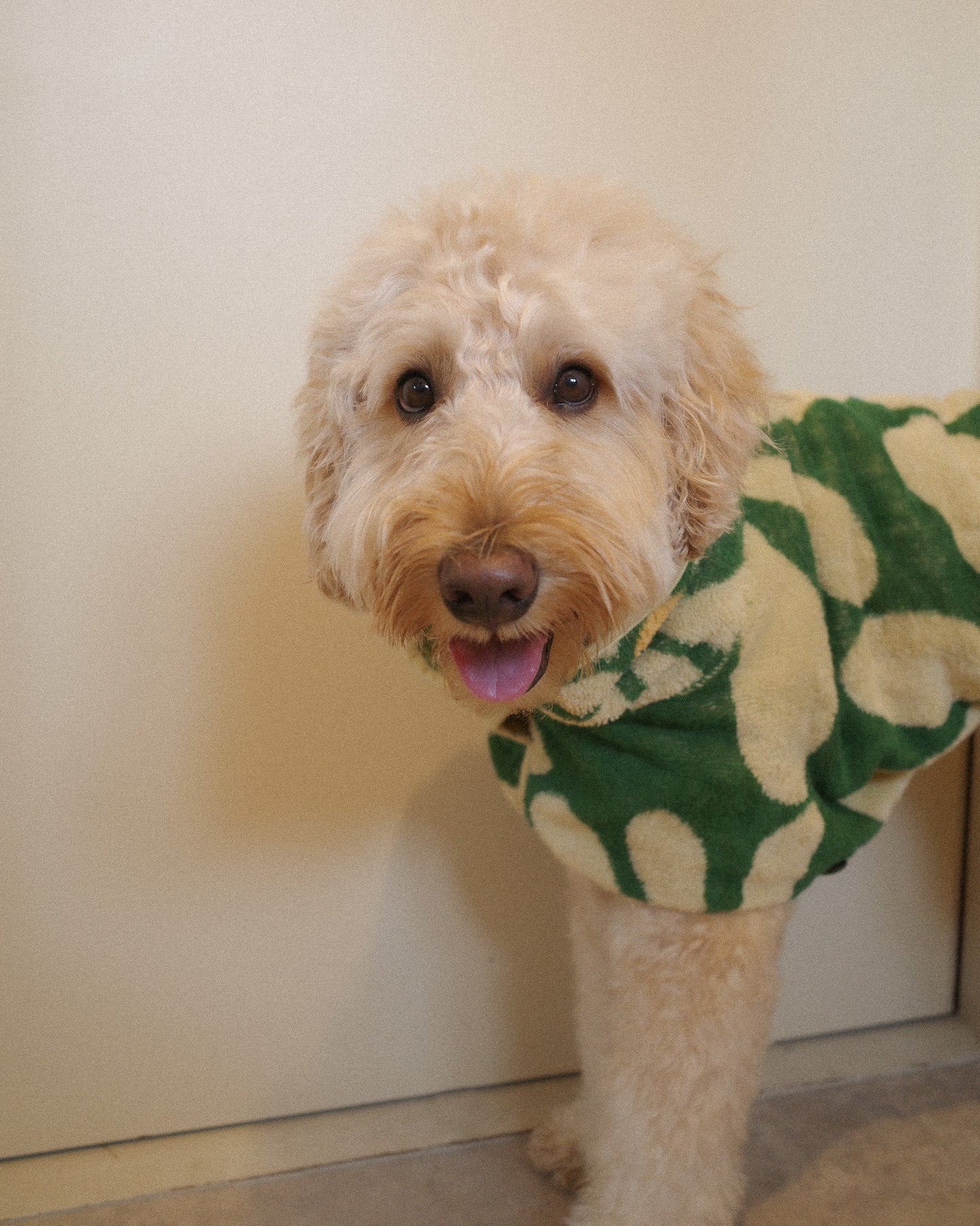 《オーガニックコットン》Dog Robe & Beach Towel  - Flower -