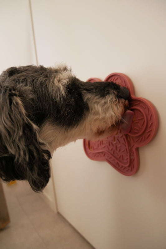 《ストレス解消＆お留守番対策にも》《LICK MAT》