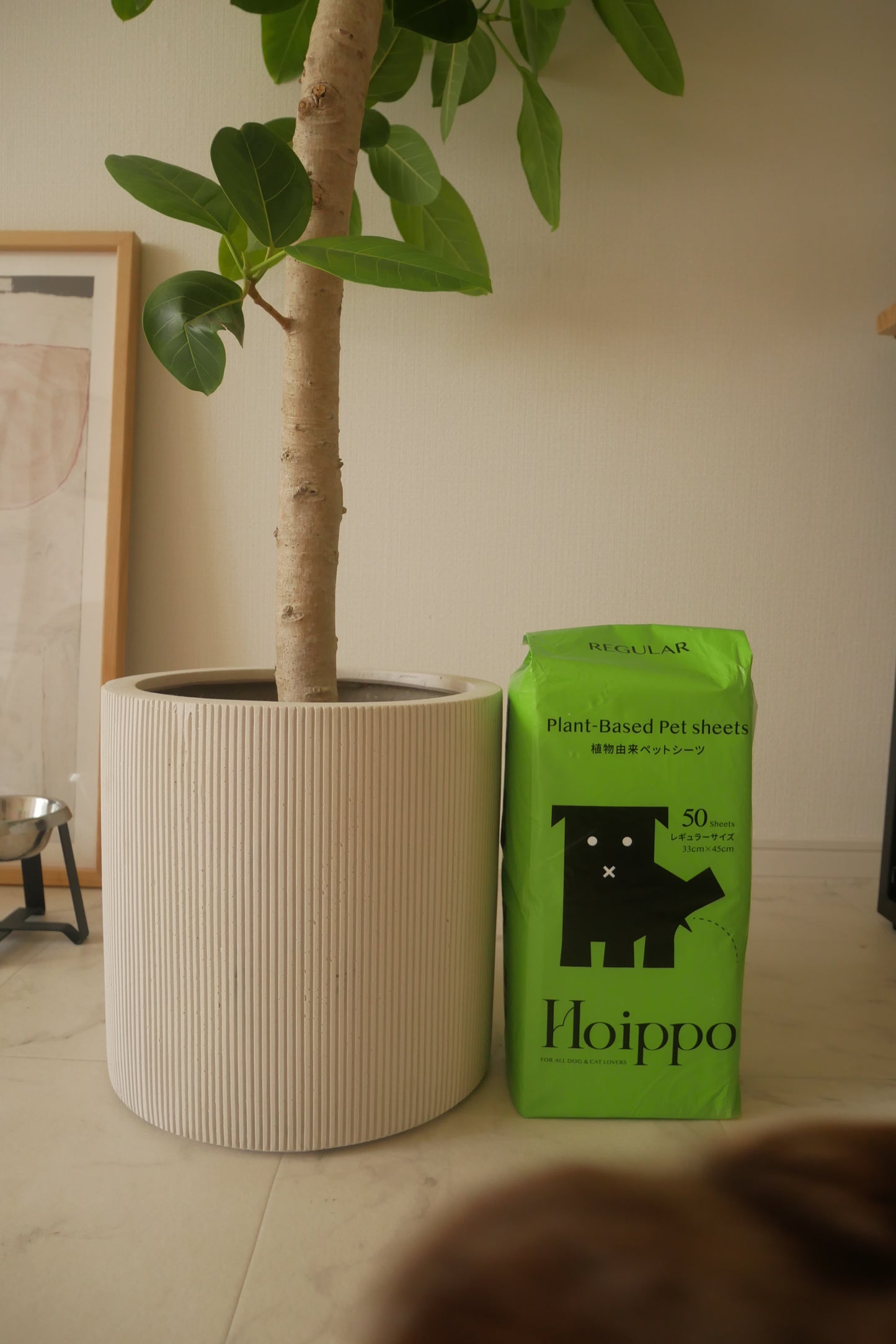 《Hoippo》《植物由来ペットシーツ》