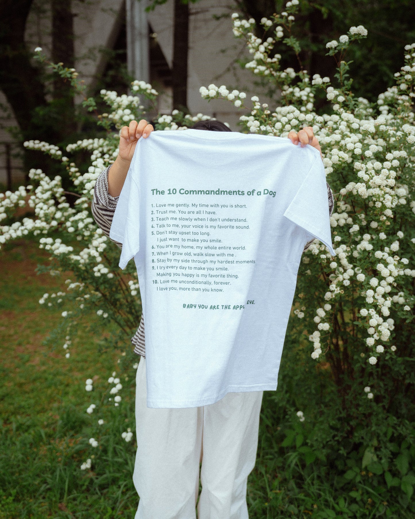 10 messages from your dog Tシャツ　　　　