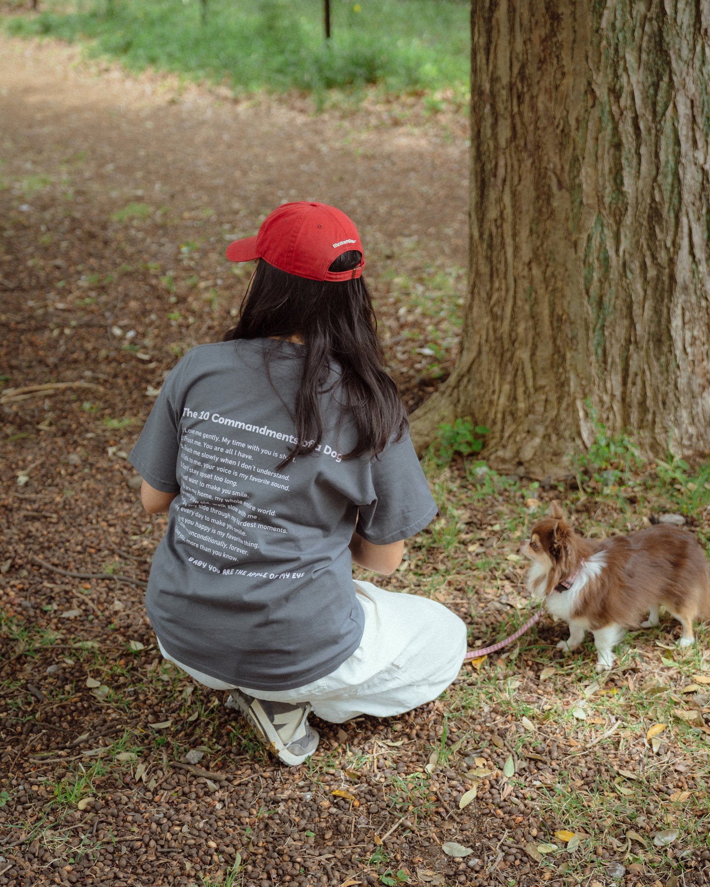 10 messages from your dog Tシャツ　　　　