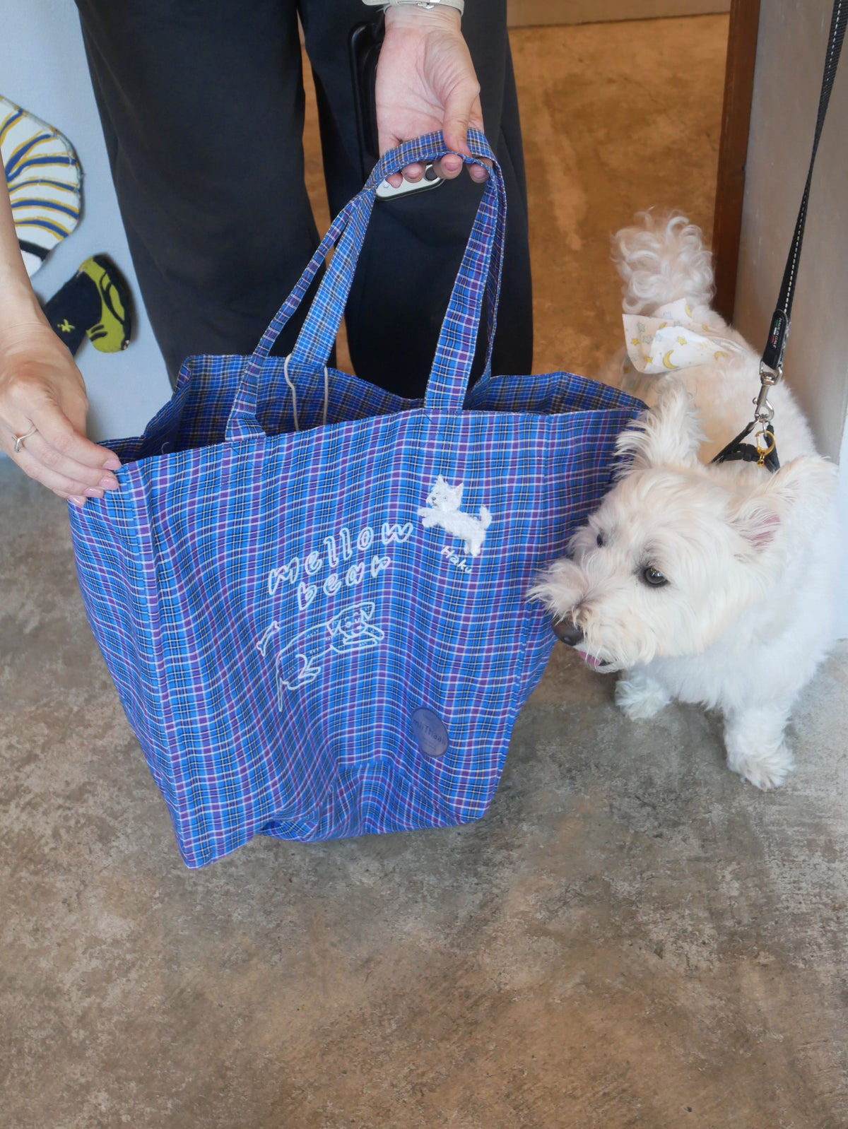 suwa mizuho illustration for mellow tote　