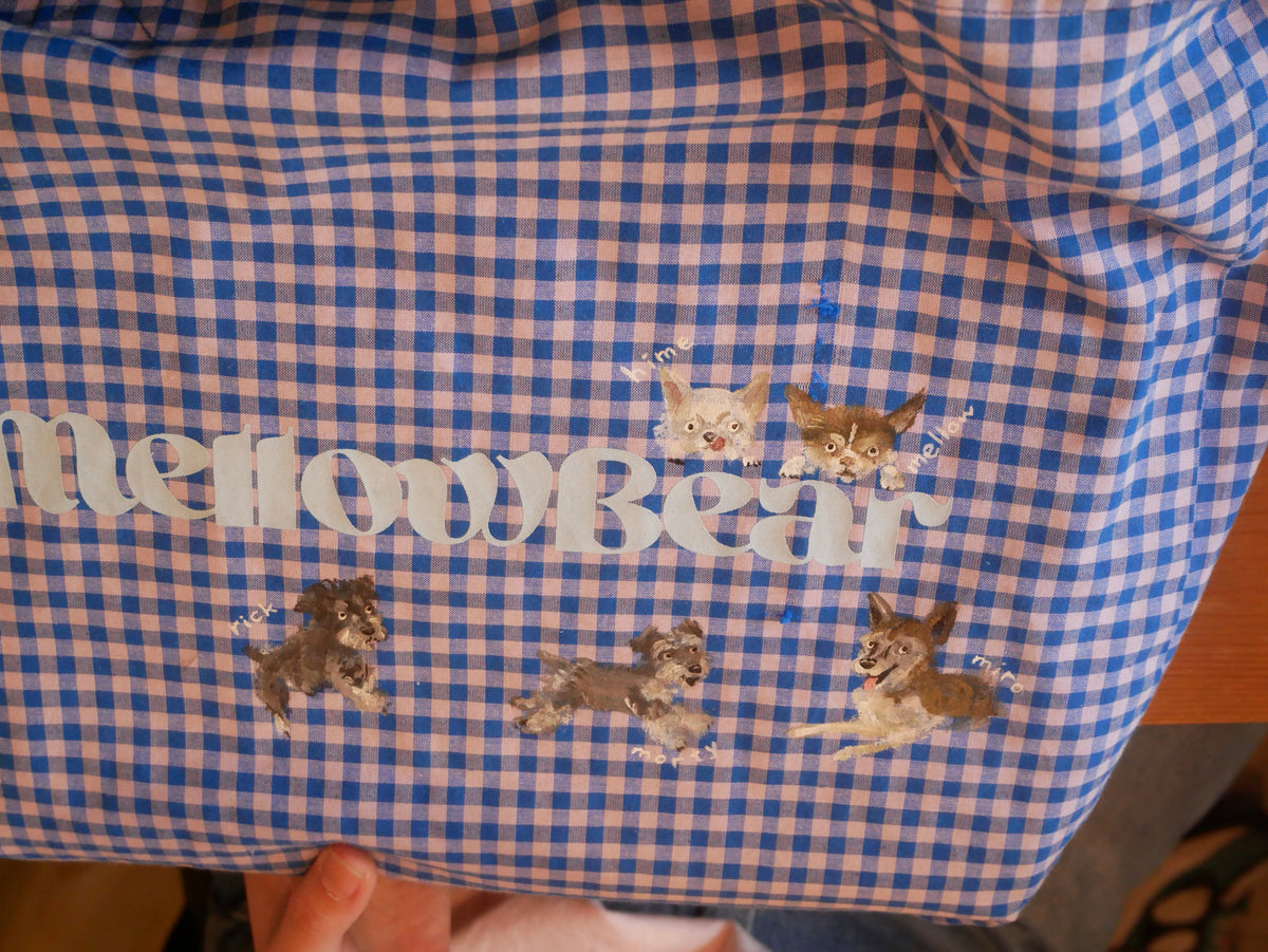 suwa mizuho illustration for mellow tote　