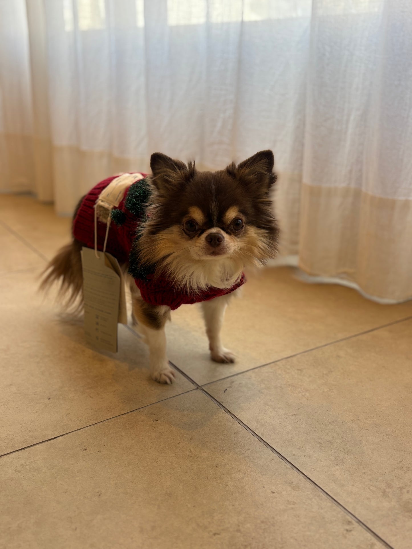 super cute holiday Knit 🧶