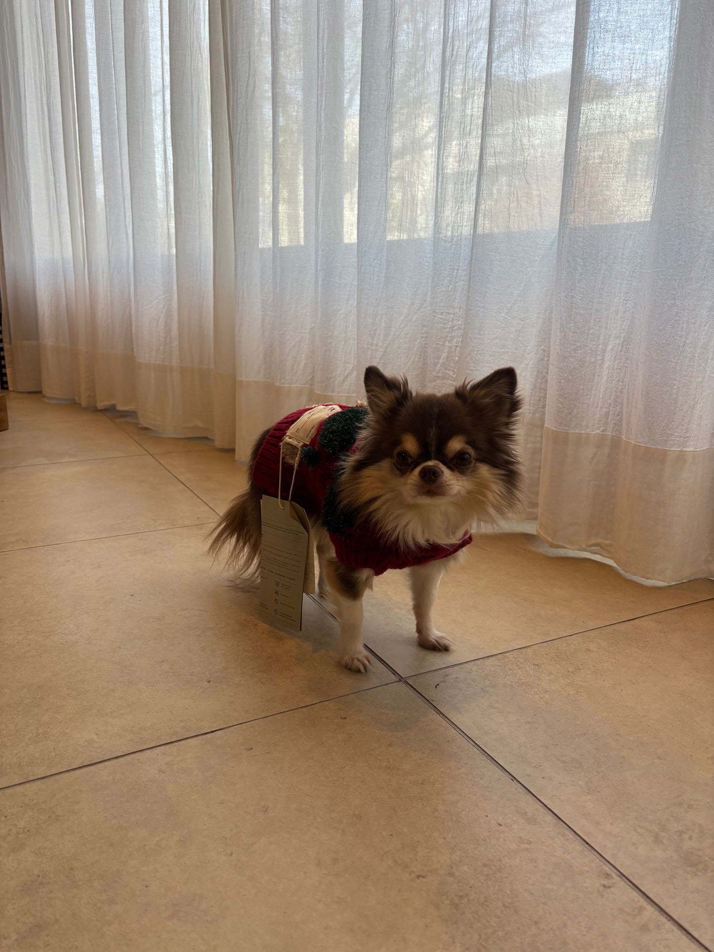 super cute holiday Knit 🧶