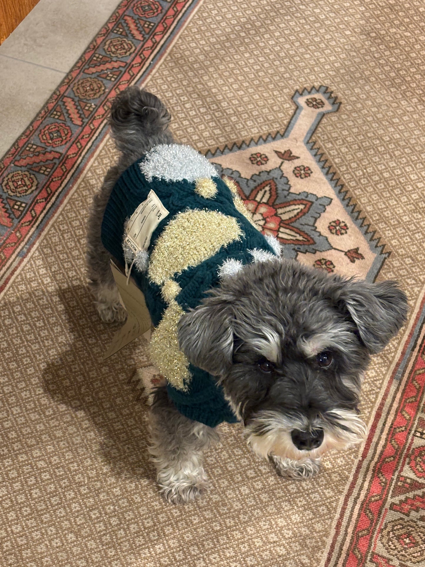 super cute holiday Knit 🧶