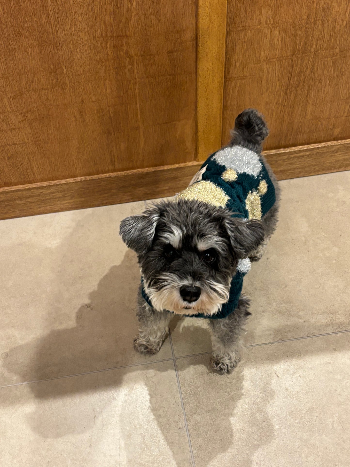 super cute holiday Knit 🧶