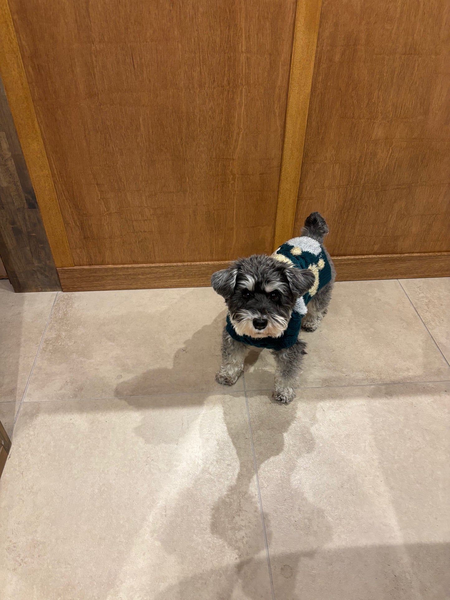 super cute holiday Knit 🧶