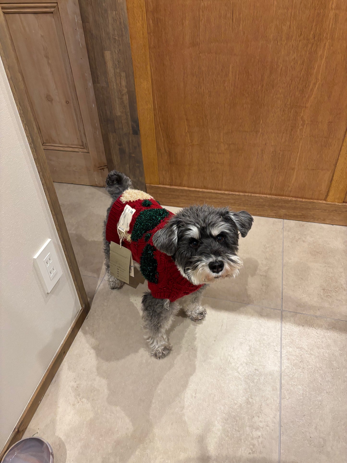 super cute holiday Knit 🧶